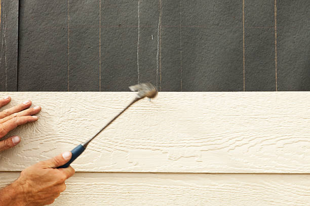 Best Custom Trim and Detailing for Siding  in Walden, TN