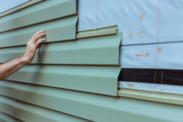 Best Vinyl Siding Installation  in Walden, TN